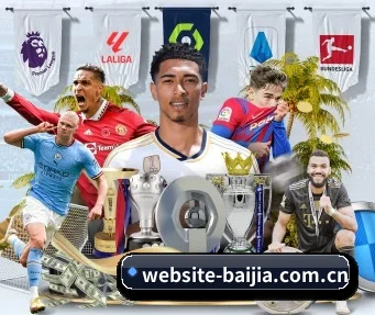 website-baijia.com.cn APP